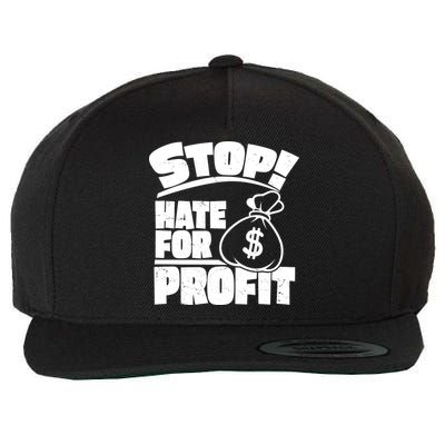 Stop Hate for Profit Money Bag Wool Snapback Cap