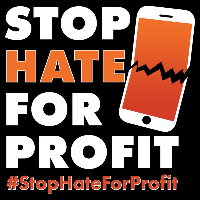 Stop Hate for Profit #StopHateForProfit Cracked Cell Phone 16 in Basic Backpack