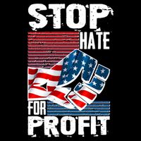 Stop Hate for Profit USA Flag Fist 16 in Basic Backpack