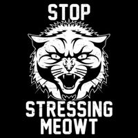 Stop Stressing Meowt Angry Cat Flatbill Hat