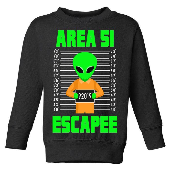 Storm Area 51 Alien Escapee Toddler Sweatshirt