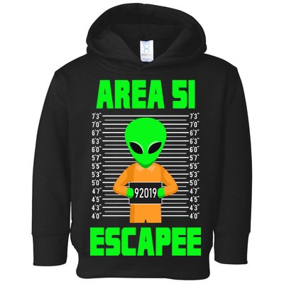 Storm Area 51 Alien Escapee Toddler Hoodie