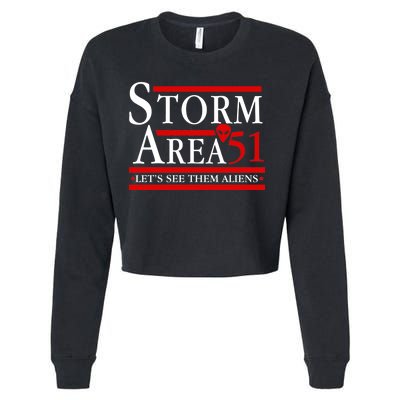 Storm Area 51 Campaign Cropped Pullover Crew