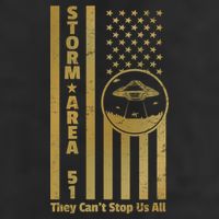 Storm Area 51 Golden Flag Beanie