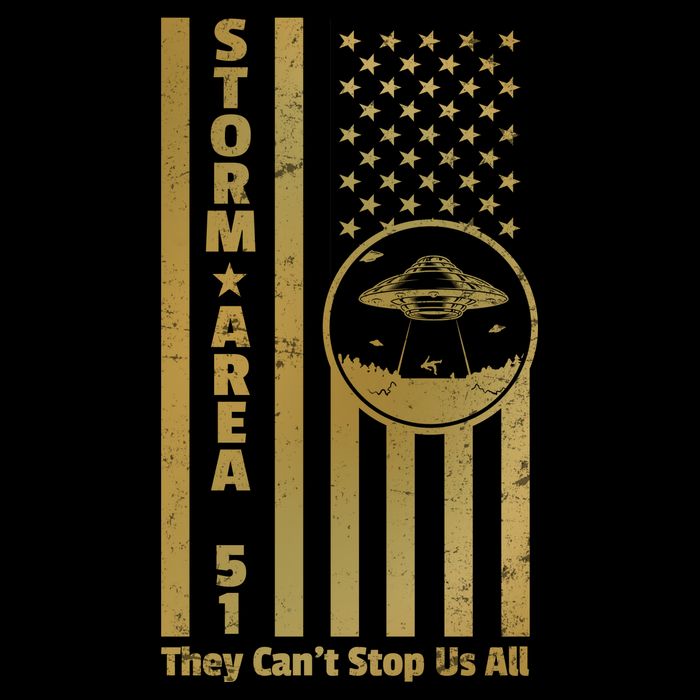 Storm Area 51 Golden Flag Premium T-Shirt