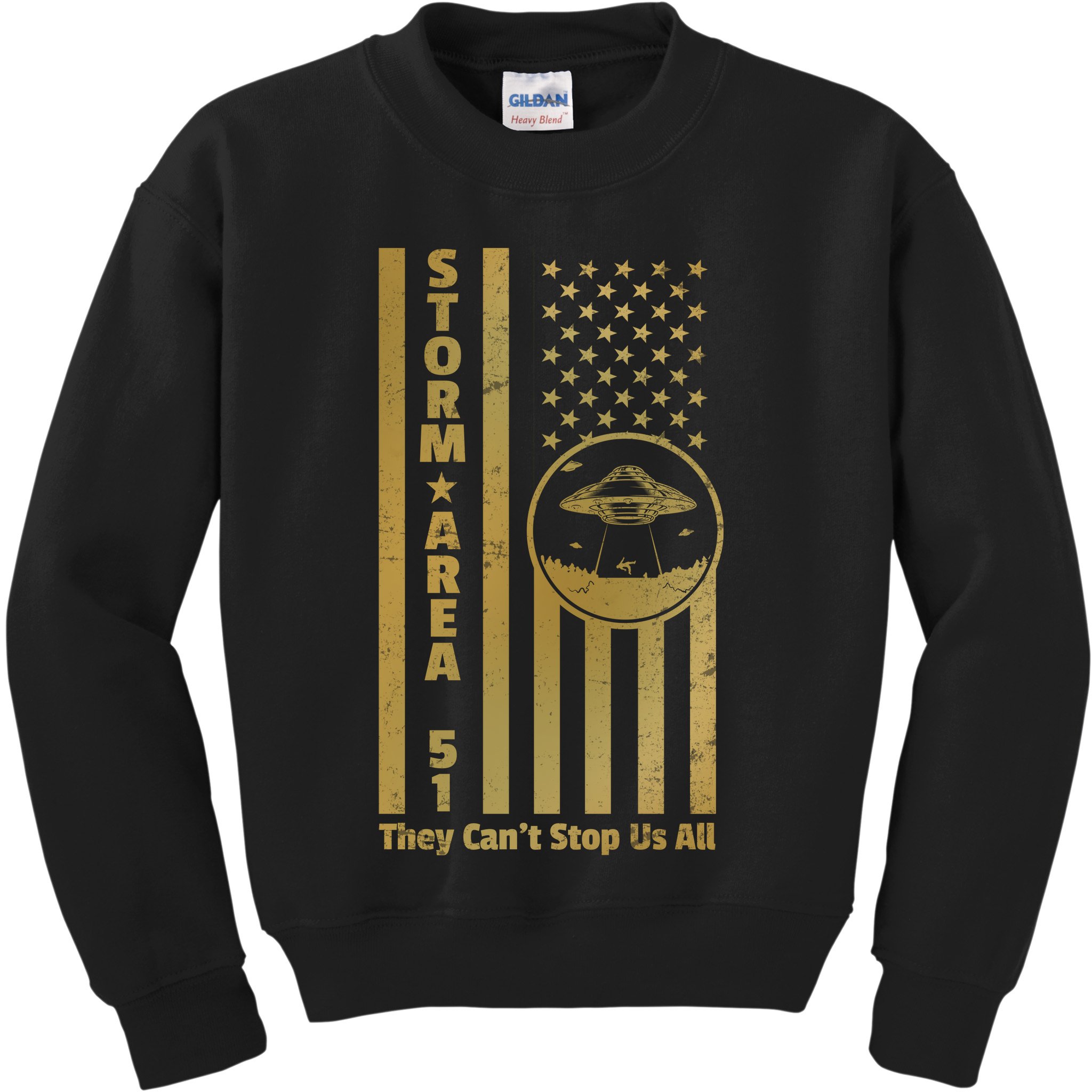 Storm Area 51 Golden Flag Kids Sweatshirt