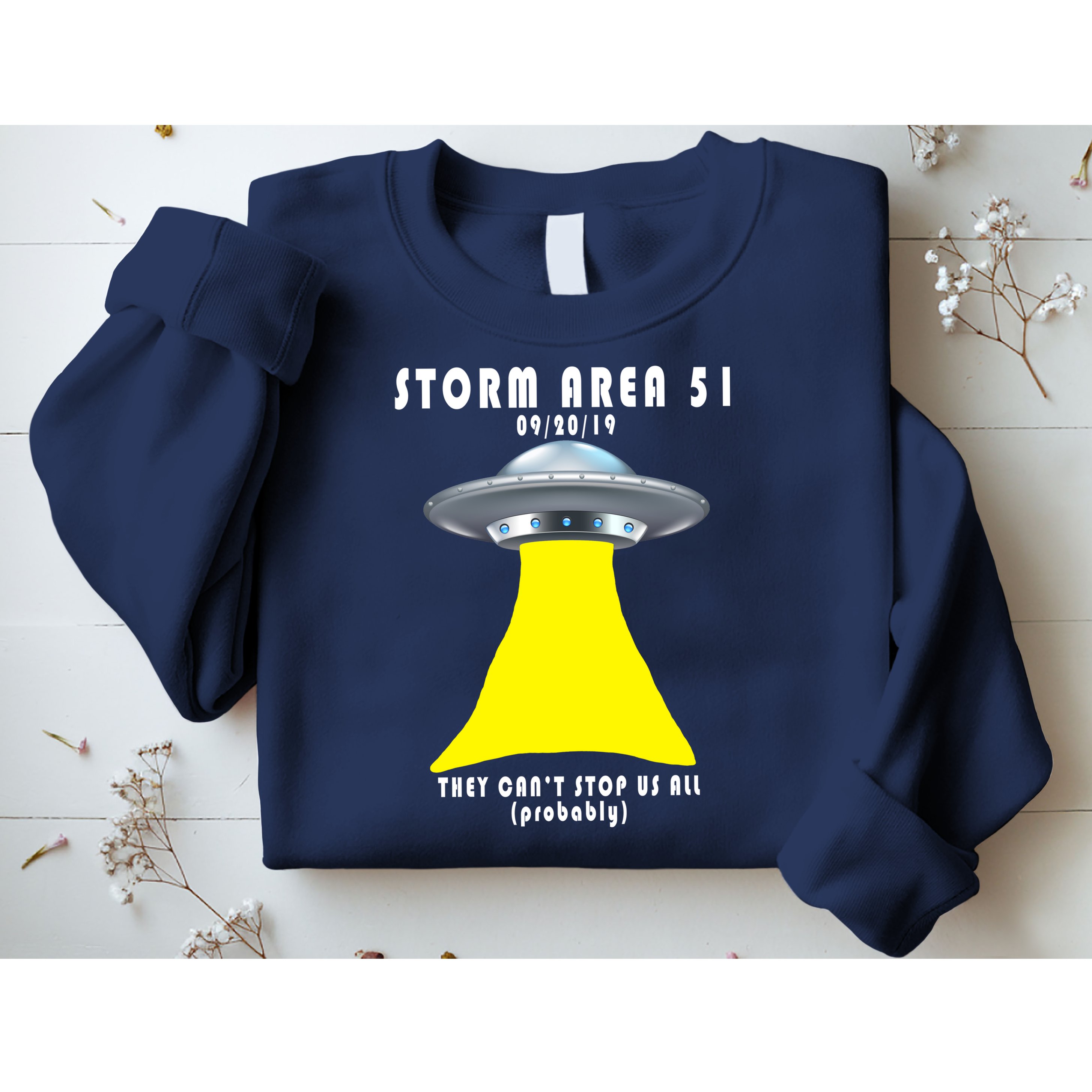 Storm Area 51 They Can't Stop Us Probably Sweatshirt