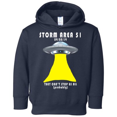 Storm Area 51 They Can't Stop Us Probably Toddler Hoodie