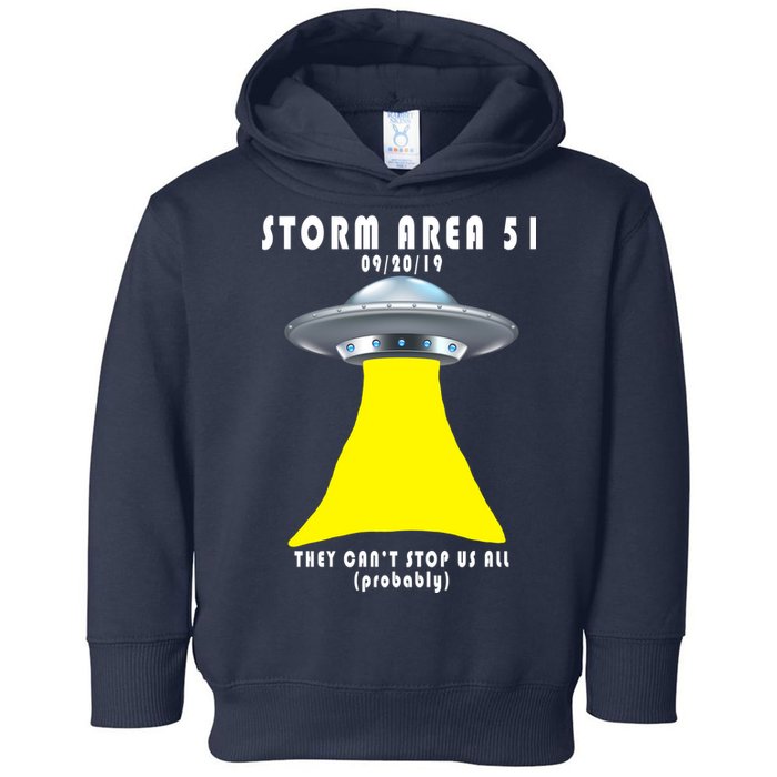 Storm Area 51 They Can't Stop Us Probably Toddler Hoodie