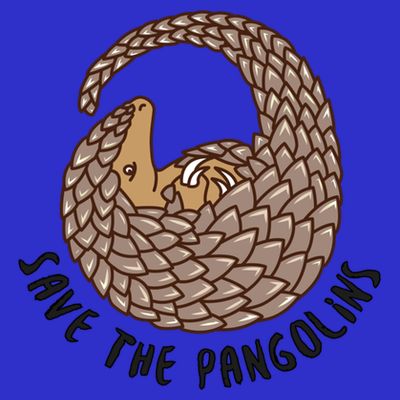 Save The Pangolins Gift Wildlife Conservation Gift T-Shirt