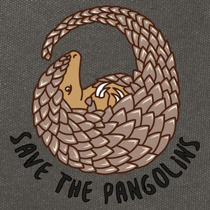 Save The Pangolins Gift Wildlife Conservation Gift Cotton Canvas Backpack
