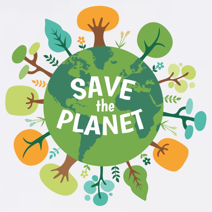 Save The Planet Earth Day Nature Wool Snapback Cap