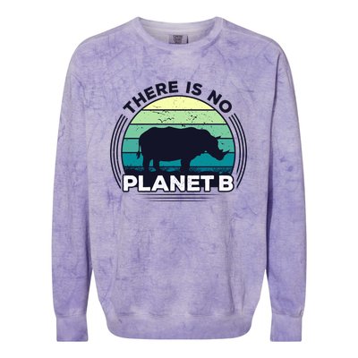 Save The Rhinos There Is No Planet B Earth Day Gift Colorblast Crewneck Sweatshirt