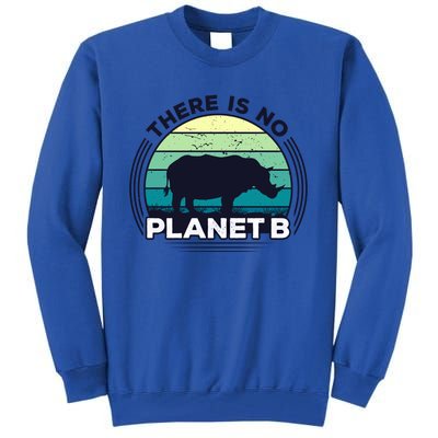 Save The Rhinos There Is No Planet B Earth Day Gift Tall Sweatshirt