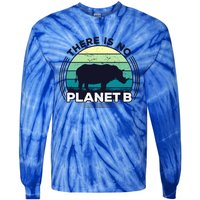 Save The Rhinos There Is No Planet B Earth Day Gift Tie-Dye Long Sleeve Shirt