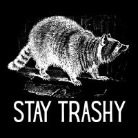 Stay Trashy Raccoon Funny Meme 7-Panel Snapback Hat