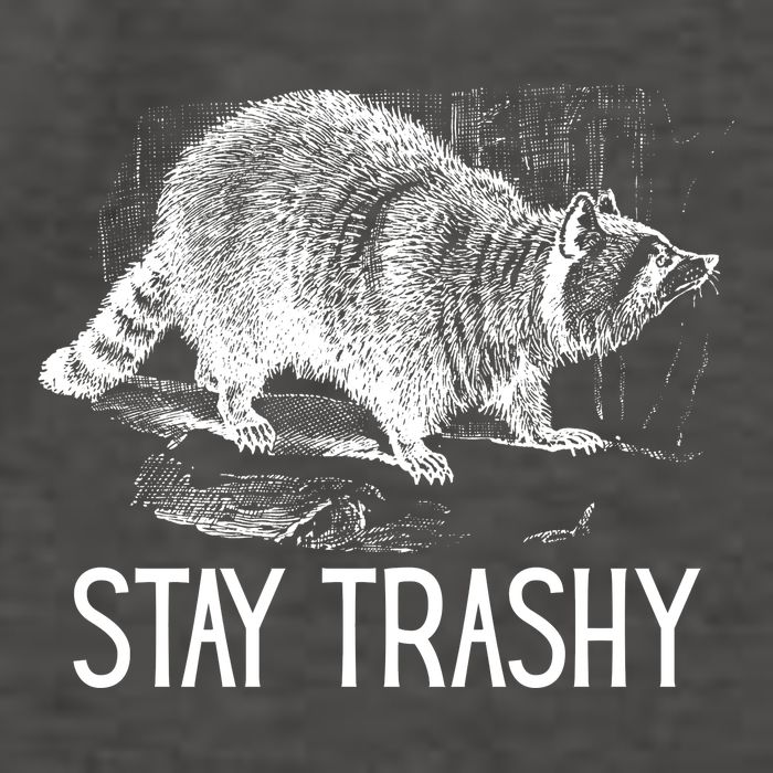 Stay Trashy Raccoon Funny Meme Vector Backpack