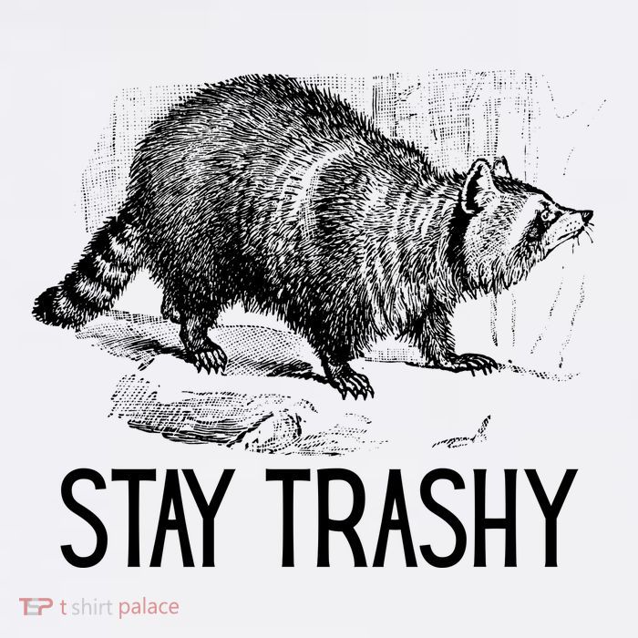 Stay Trashy Raccoon Funny Meme T-Shirt