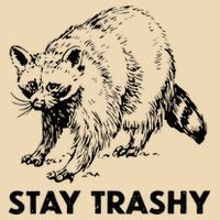 Stay Trashy Raccoon Bag