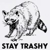 Stay Trashy Raccoon Cool Comfort Performance Bucket Hat