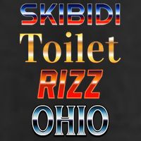 S.K.I.Bi.D.I Toilet Rizz Ohio Adult Drive Performance Visor