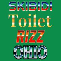 S.K.I.Bi.D.I Toilet Rizz Ohio Sweatshirt