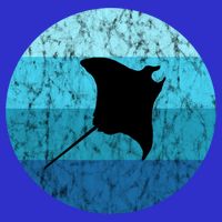 Stingray Ta Ray Retro Vintage Ocean Water Animal Gift Kids Hoodie