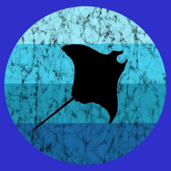Stingray Ta Ray Retro Vintage Ocean Water Animal Gift Kids Hoodie