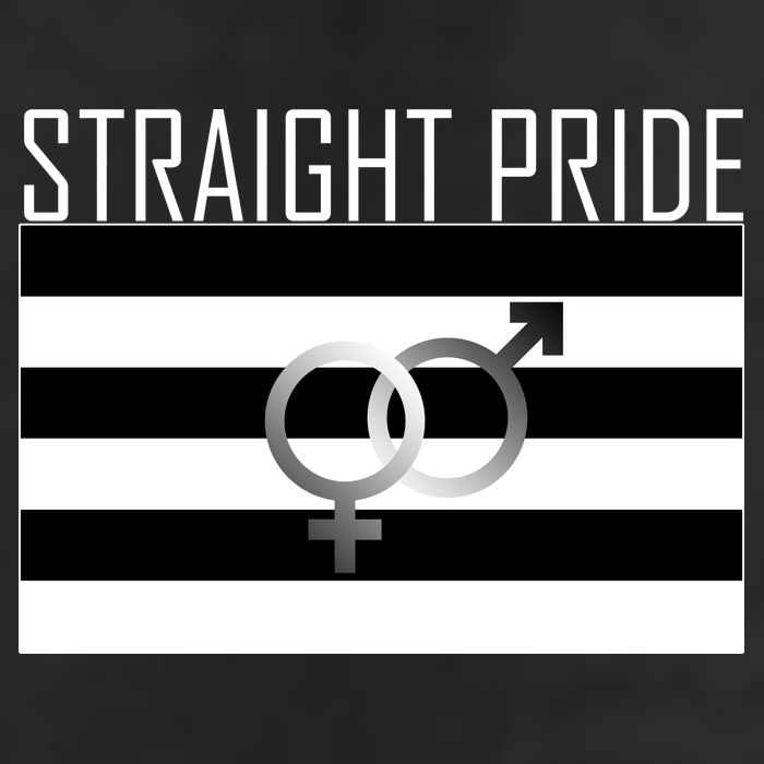 Straight Pride Adult Drive Performance Visor