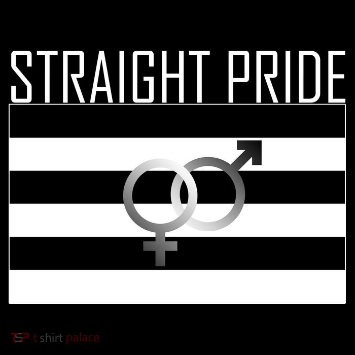 Straight Pride 16 in Basic Backpack