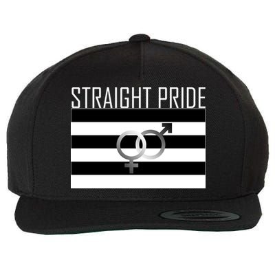 Straight Pride Wool Snapback Cap