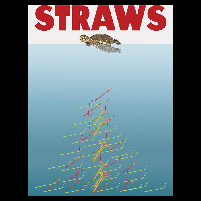 Straws Suck End Plastic Pollution Daily Commute Backpack