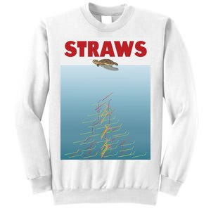 Straws Suck End Plastic Pollution Sweatshirt