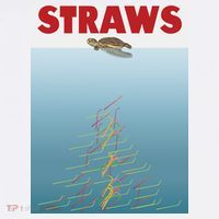 Straws Suck End Plastic Pollution Poster