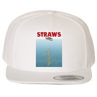 Straws Suck End Plastic Pollution Wool Snapback Cap
