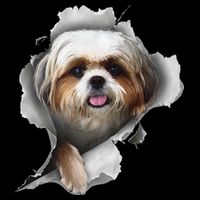 Shih Tzu Shih Tzu Dog Gift Shih Tzu Lover Stripe Pom Pom Beanie