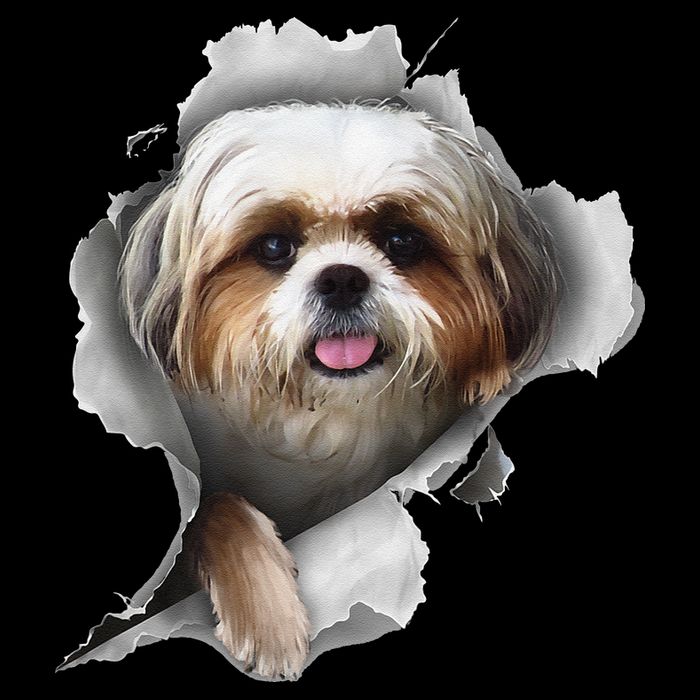 Shih Tzu Shih Tzu Dog Gift Shih Tzu Lover 16 in Basic Backpack