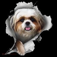 Shih Tzu Shih Tzu Dog Gift Shih Tzu Lover Premium T-Shirt