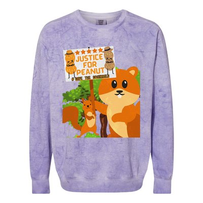 Save The Squirrels Justice For Peanut Pnut Peanut Squirrel Colorblast Crewneck Sweatshirt