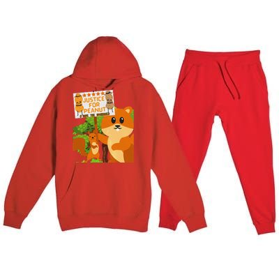 Save The Squirrels Justice For Peanut Pnut Peanut Squirrel Premium Hooded Sweatsuit Set