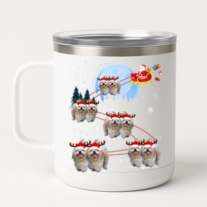 Shih Tzu Santa Reindeer Sleigh Santa Hat Christmas Gift 12 oz Stainless Steel Tumbler Cup