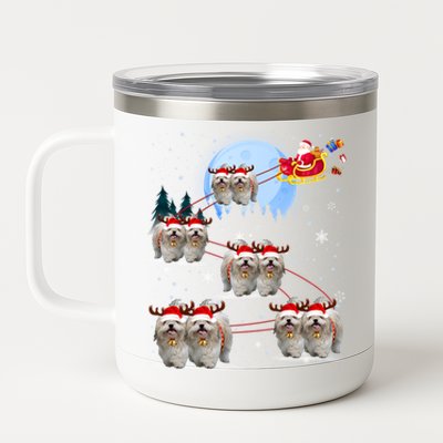 Shih Tzu Santa Reindeer Sleigh Santa Hat Christmas Gift 12 oz Stainless Steel Tumbler Cup