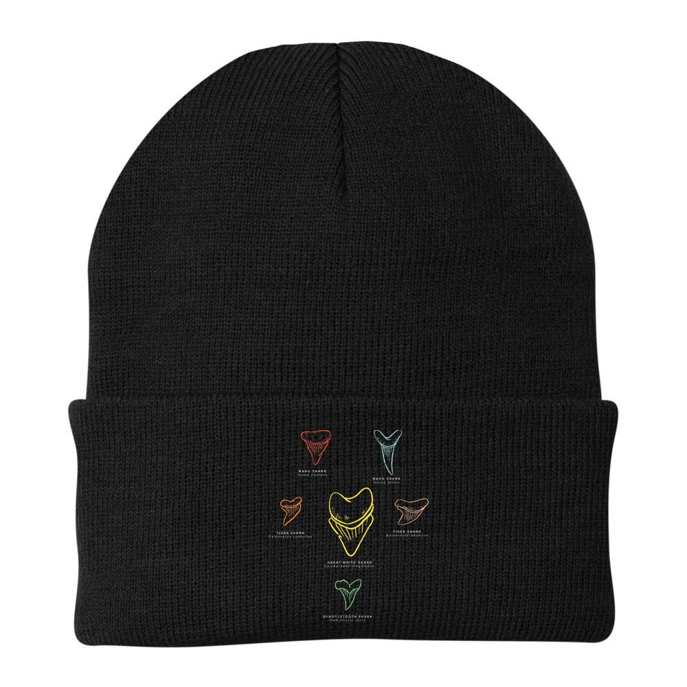 Shark Teeth Shark Tooth Types Shark Teeth Collector Beanie