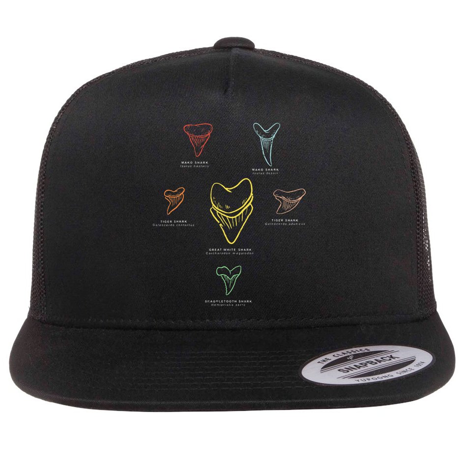 Shark Teeth Shark Tooth Types Shark Teeth Collector Flat Bill Trucker Hat