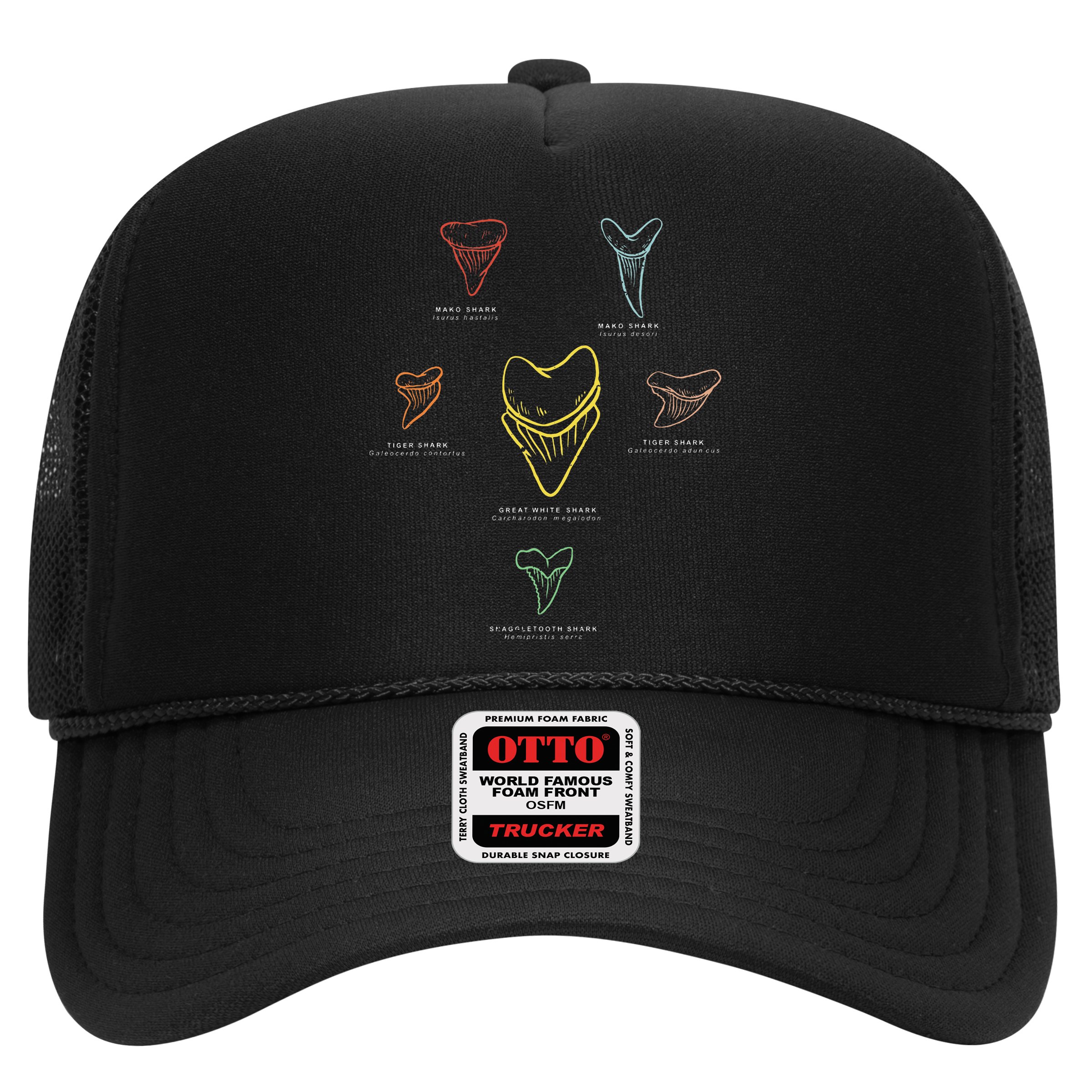 Shark Teeth Shark Tooth Types Shark Teeth Collector Hat
