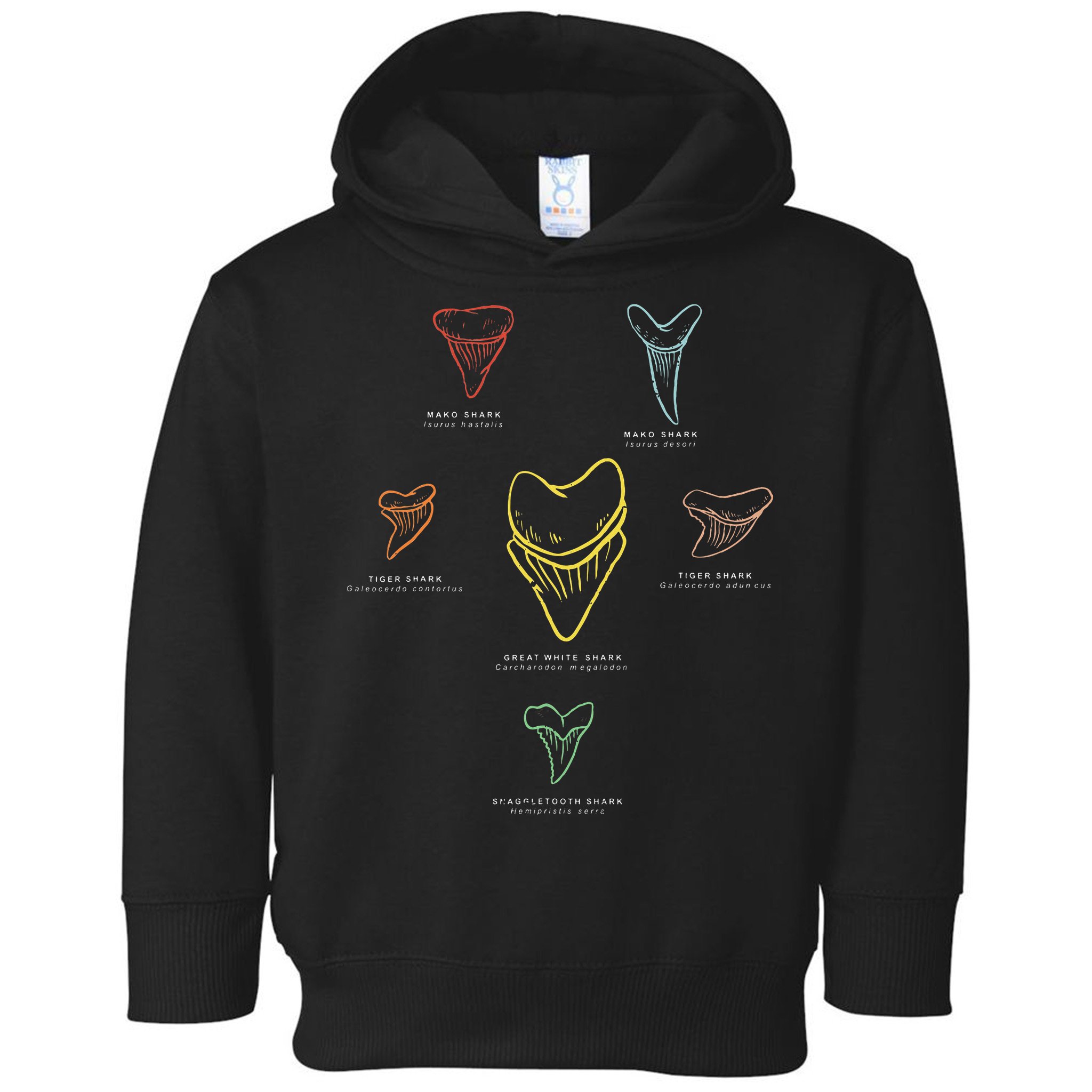 Shark Teeth Shark Tooth Types Shark Teeth Collector Toddler Hoodie