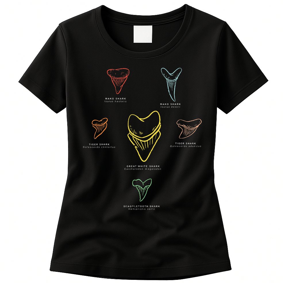 Shark Teeth Shark Tooth Types Shark Teeth Collector Womens T-Shirt