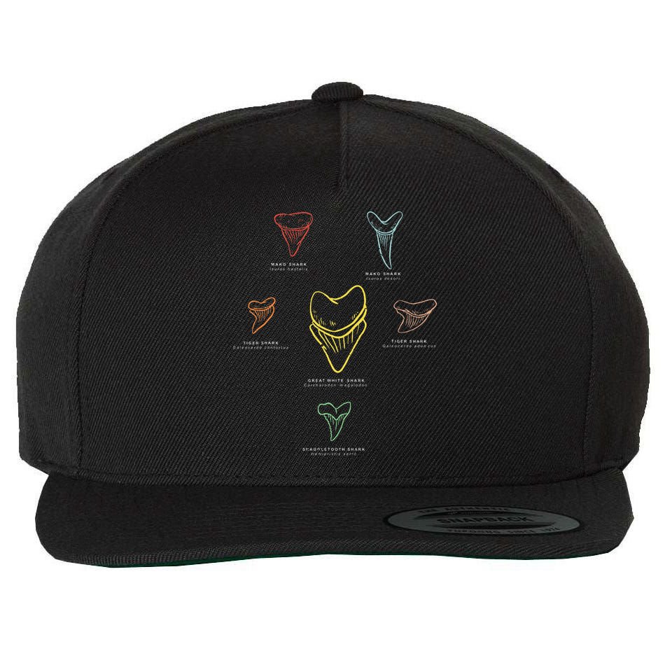 Shark Teeth Shark Tooth Types Shark Teeth Collector Wool Snapback Cap