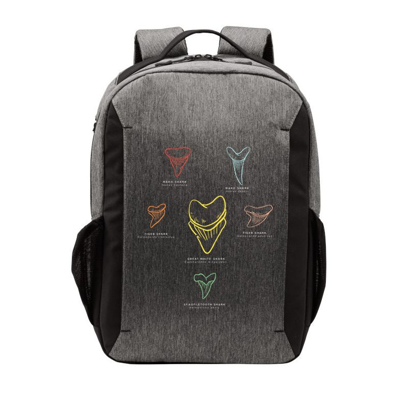 Shark Teeth Shark Tooth Types Shark Teeth Collector Vector Backpack