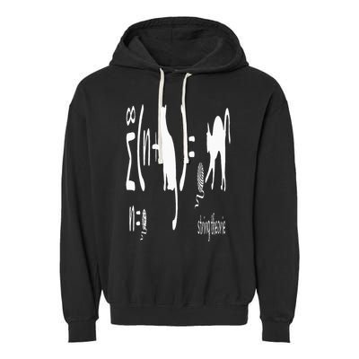 String Theory Science Nerd Physics Schrodinger's Cat Garment-Dyed Fleece Hoodie